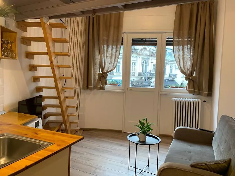 Charming 1937 #Victory Avenue Apartment Bucureşti